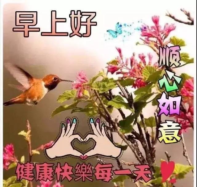 特漂亮的最新早上好动态表情图片,最美早安祝福语动图