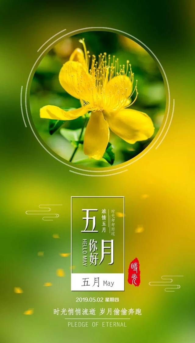 5月清晨早安心语正能量哲理语录句子 五月早安图片带字正能量励志