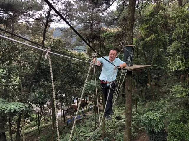 丛林飞越 化身泰山猿人,在丛林中自由飞越 集冒险,运动,娱乐,挑战于