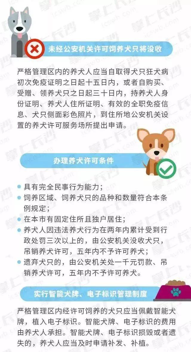长沙养犬人注意,合法养犬这些你必须知道(纯干货)