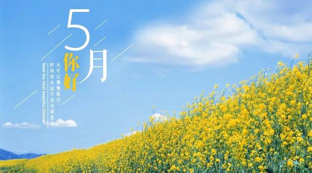 5月清晨早安心语正能量哲理语录句子 五月早安图片带字正能量励志