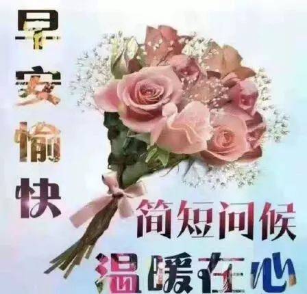 早上好快乐祝福语动态图片带字 很美的早上好问候图片