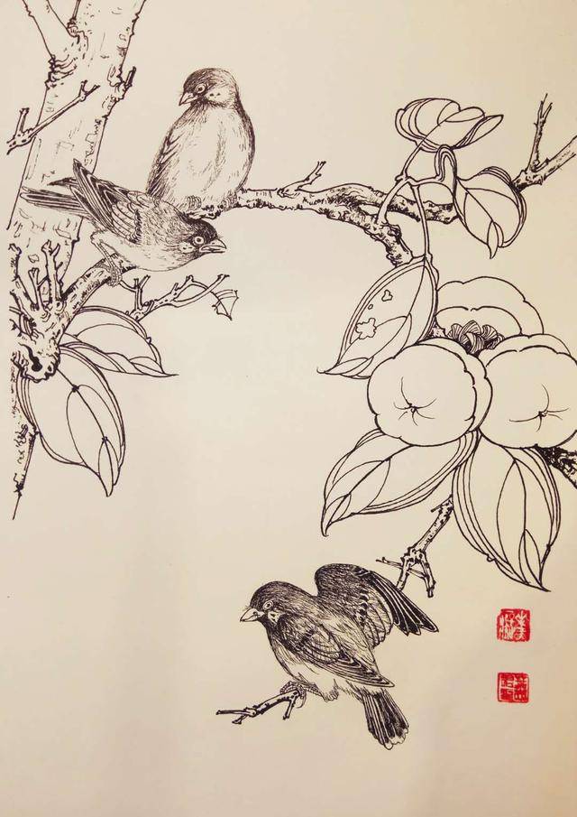 钢笔花卉白描达人叶志军先生的钢笔画分享