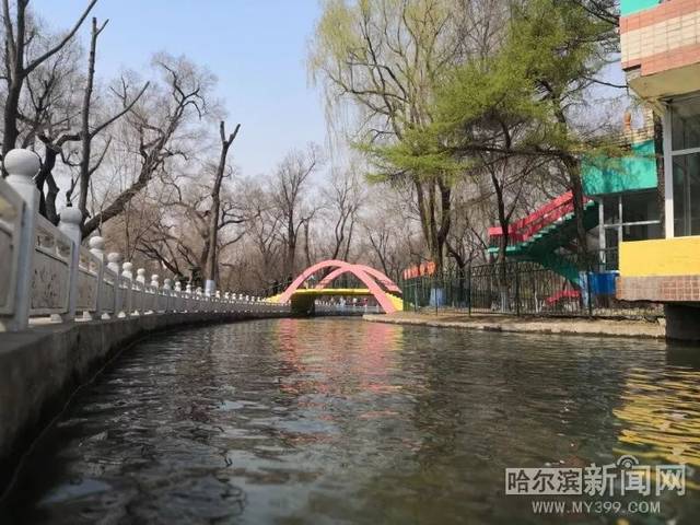 香坊区5个免费"网红"公园等你来