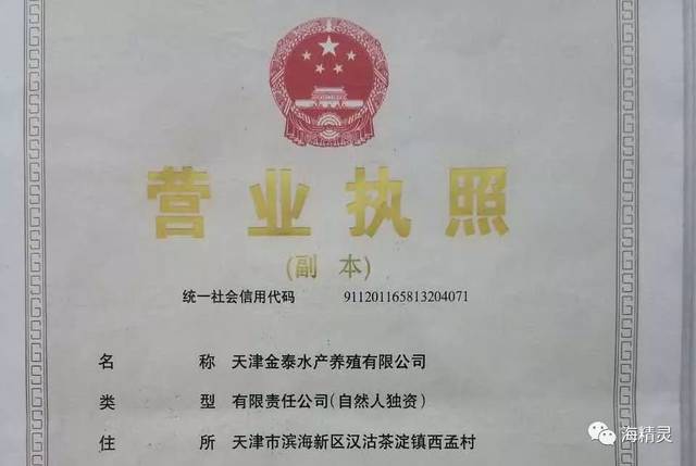 营业执照必不可少