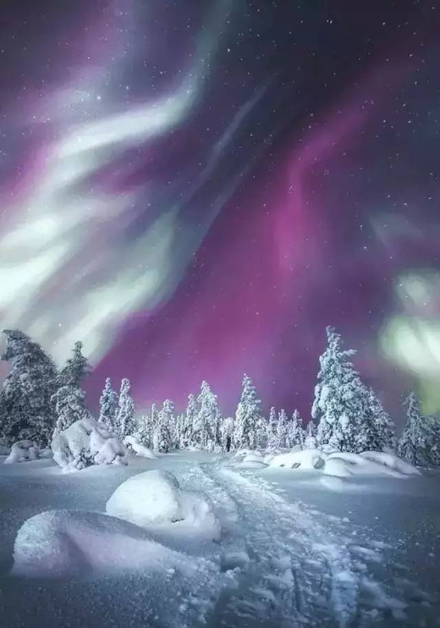 在圆顶透明玻璃酒店里, 看壮丽的北极光和闪烁的星空