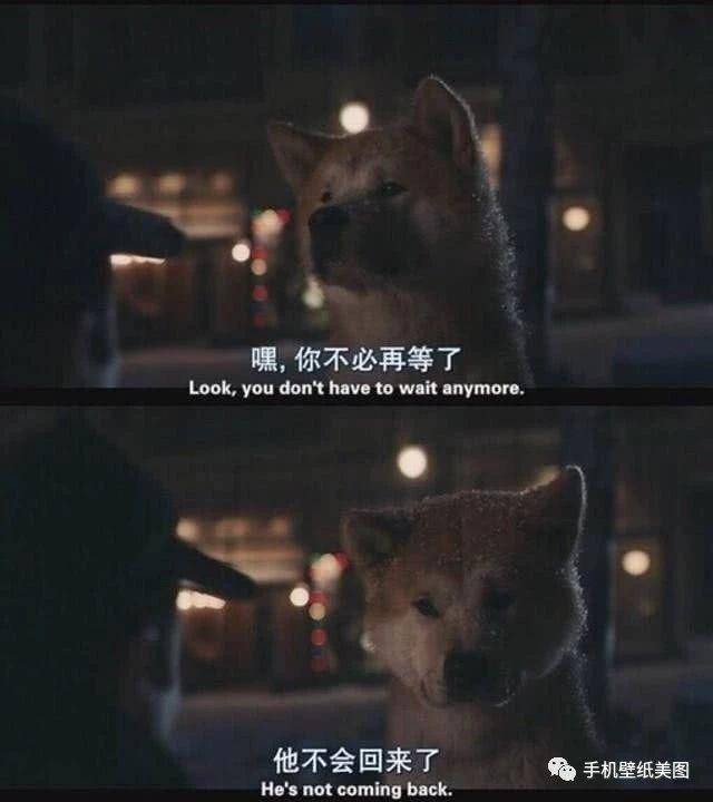 电影台词截图拼接图,适合发朋友圈的图片