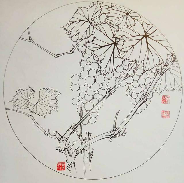 钢笔花卉白描达人叶志军先生的钢笔画分享