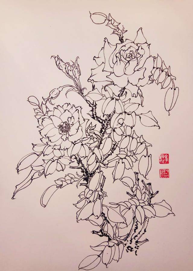 钢笔花卉白描达人叶志军先生的钢笔画分享