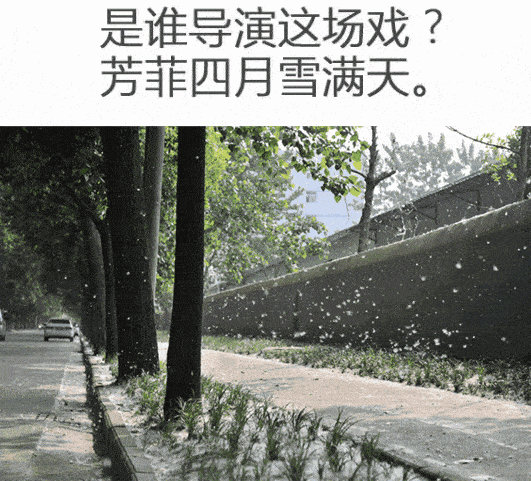 案例1