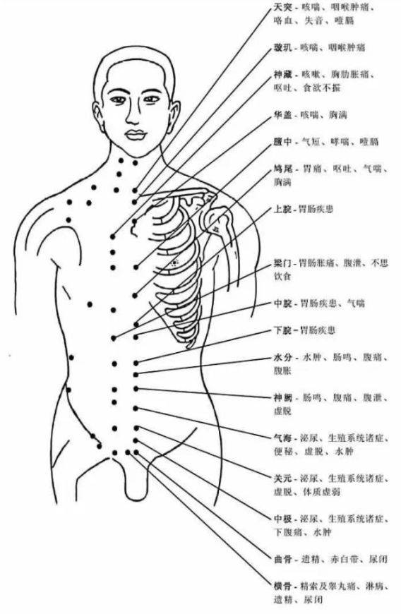 吐血整理!超全人体穴位图谱(附经络循行动图)