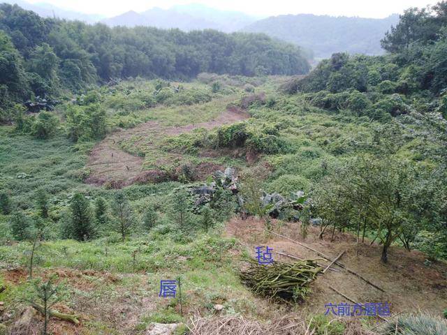 龟蛇守水口,必是富贵地!风水宝地用后三年发富发贵之地案例分享