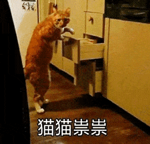 表情| 听说有人打篮球缺人(沙雕表情包)
