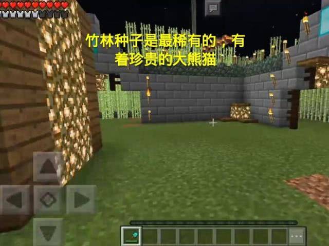 我的世界:被大佬们视为珍宝的4个宝藏种子,钻石多到用
