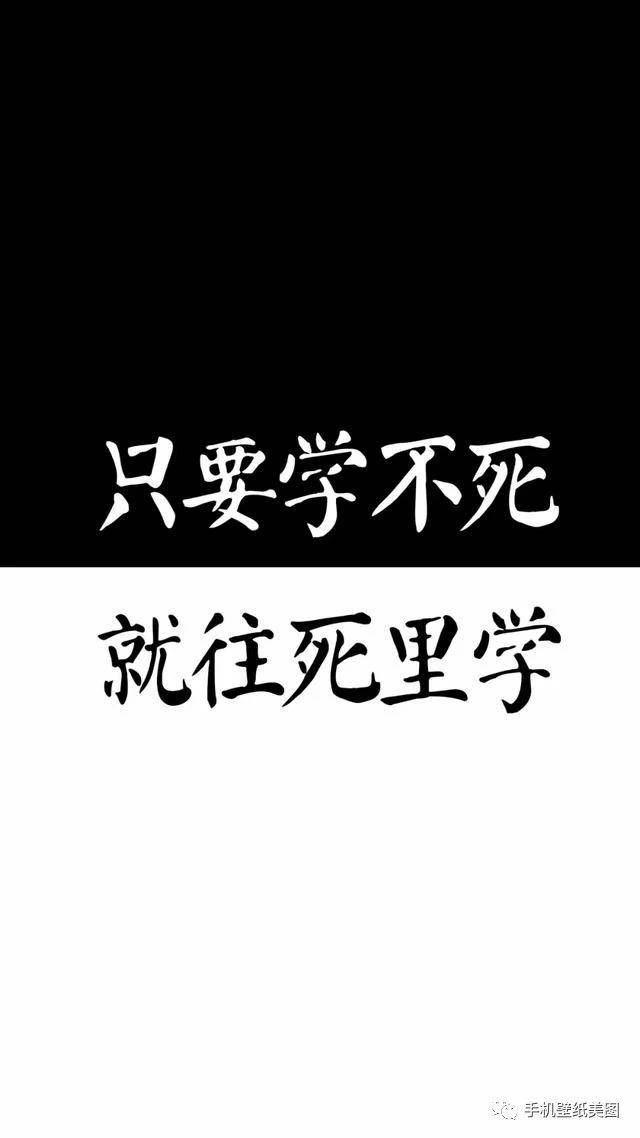 抖音上超火的文字壁纸_手机搜狐网