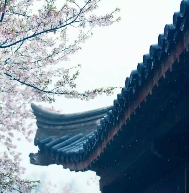 两三点雨山前.