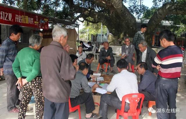 【红色湖东】陆丰市湖东镇发现大革命时期中共南湖甲区区委书记——薛