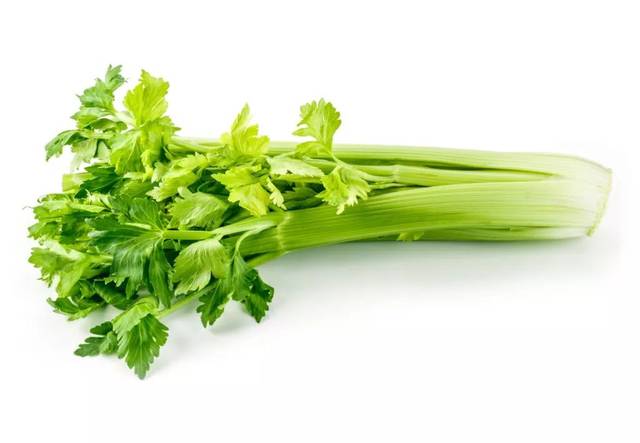 芹菜根