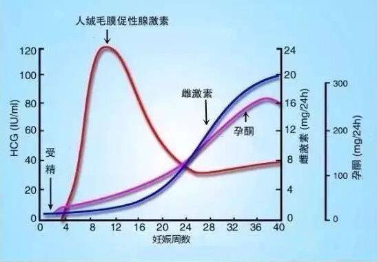 孕囊掉出来还会有孕吐吗,如何判断掉下的血块是不是孕囊?
