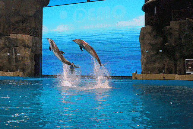 壁纸 海底 海底世界 海洋馆 水族馆 640_427 gif 动态图 动图