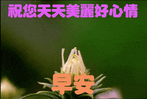 周一早上好问候语动态图片大全 05.06早晨心语带图片句子