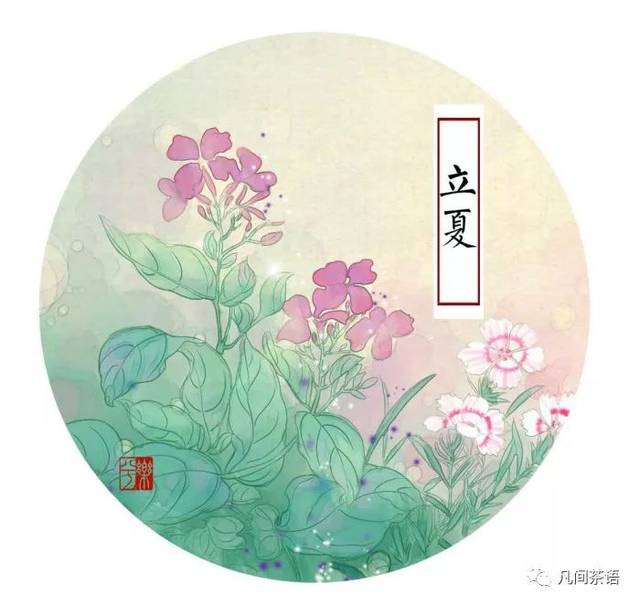 立夏喝什么茶,才能养好身?