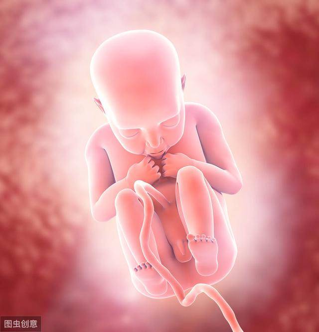 有趣!胎儿在妈妈肚子里原来也是会有小动作的,快来看看