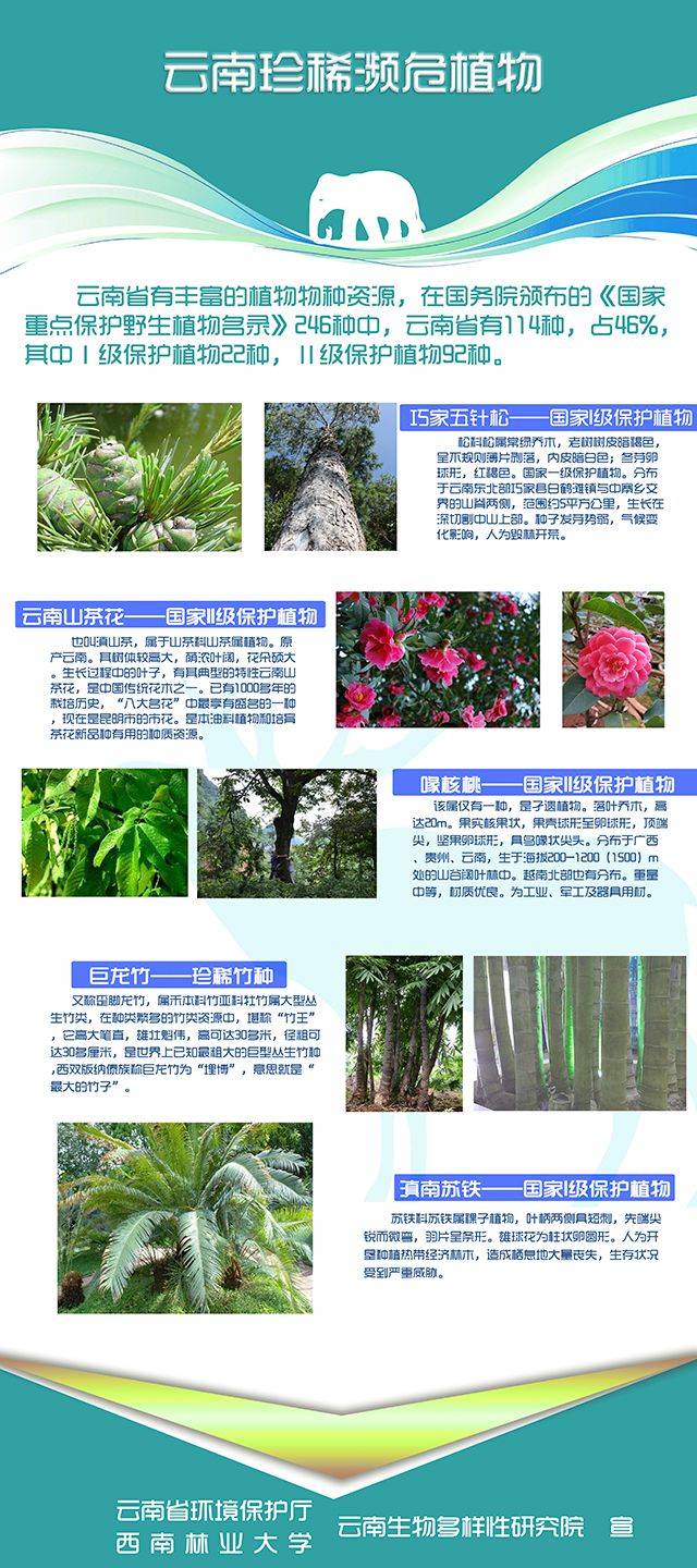优秀生态环境宣传产品(11)|保护生物多样性,需要你的行动(海报)
