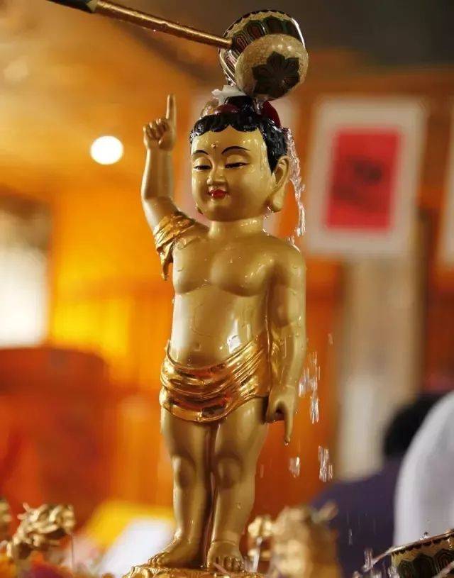 法讯 | 恭迎佛祖释迦牟尼佛诞辰!