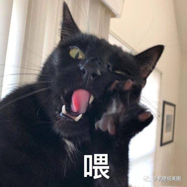沙雕头像,抖音超火的头像_手机搜狐网