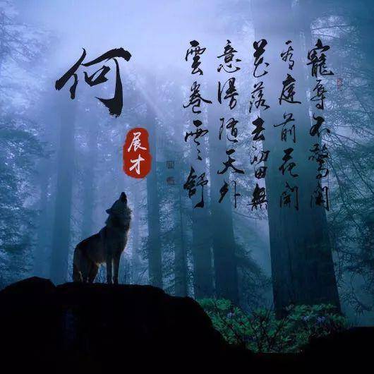 「头像」20张孤狼头像,姓氏头像,姓名头像