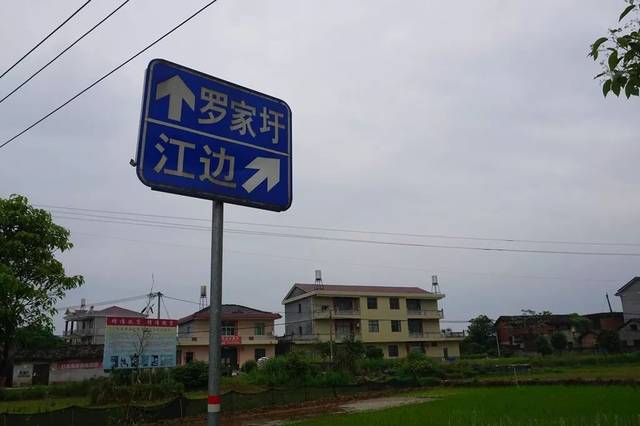 其中临川站到崇仁站大概35公里,中途来回折返去沿线的高坪镇吃午饭