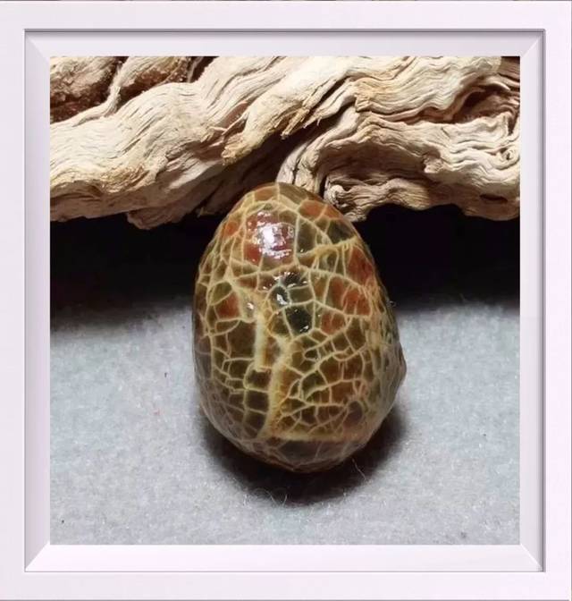 【二连石展系列报道】筋脉玛瑙,花落二连