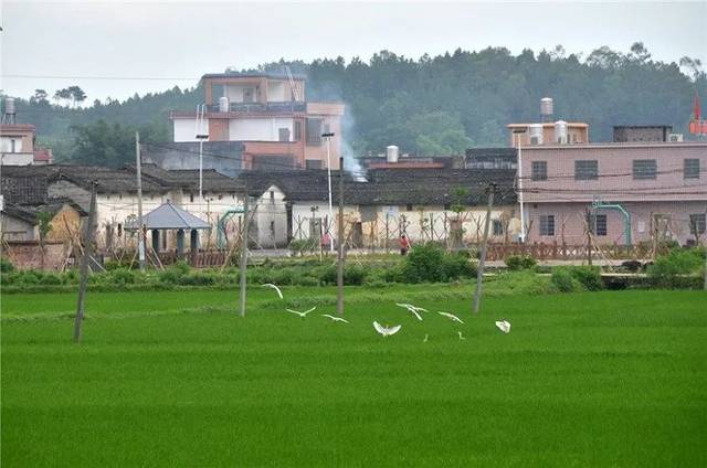 石咀头围场所在的迳头镇位于佛冈县东北部,2004年原烟岭镇并入迳头镇