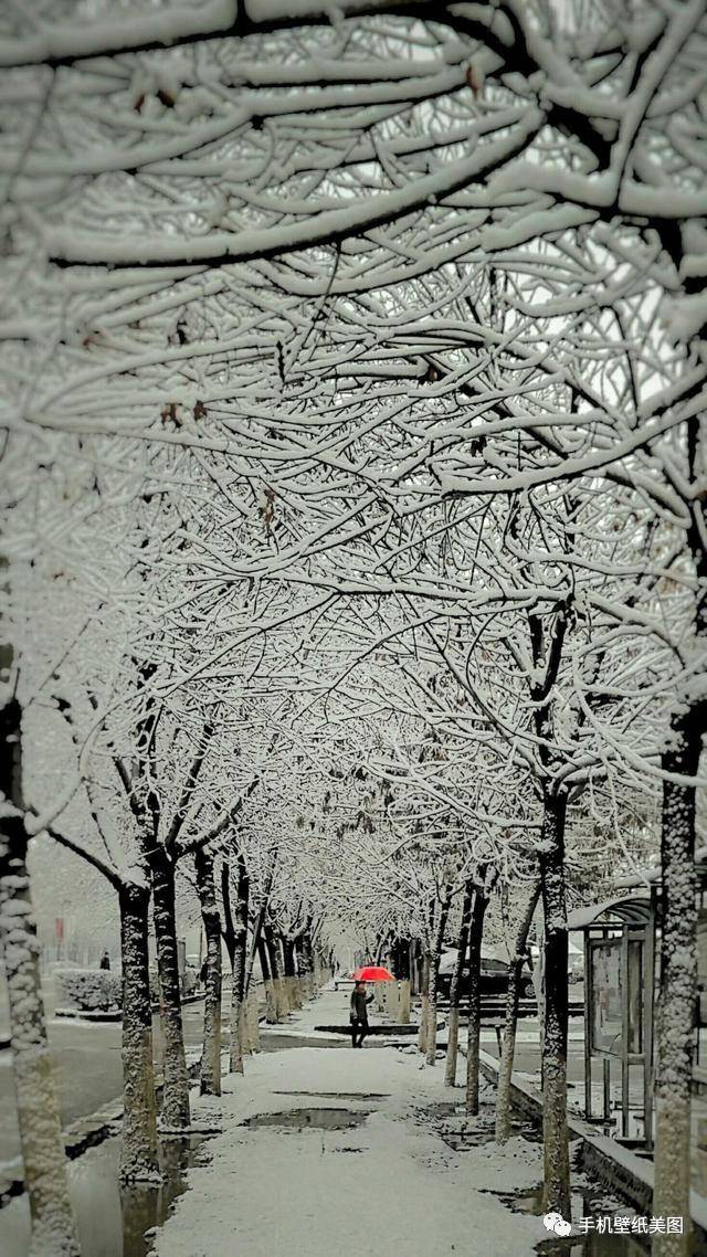 2019抖音最火的手机壁纸原图