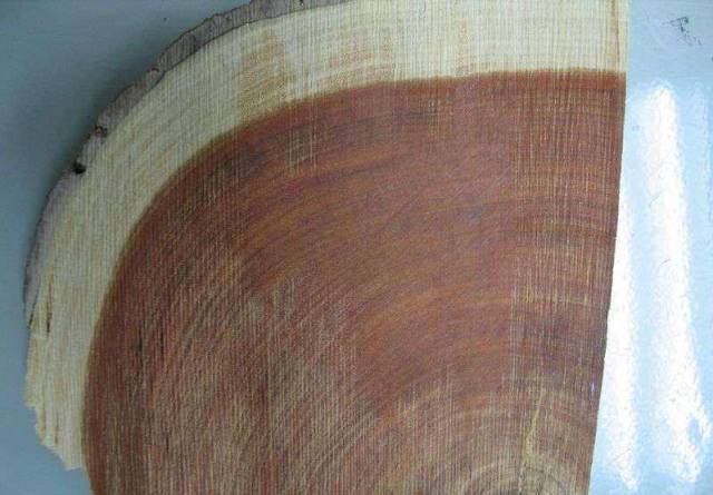 100种常见名贵木材学名,俗称对照(收藏)