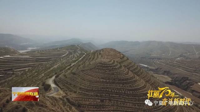 今天宁夏新闻联播的头条,属于彭阳这群女汉子