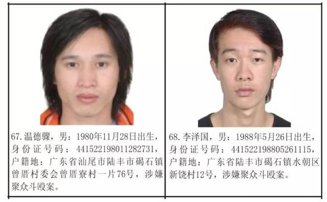 在海丰见到这35名涉黑恶逃犯请马上报警