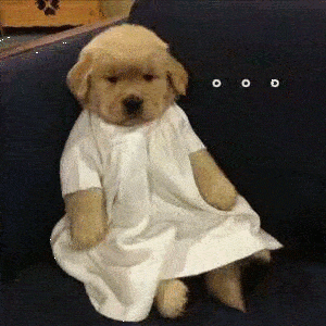 300_300gif 动态图 动图