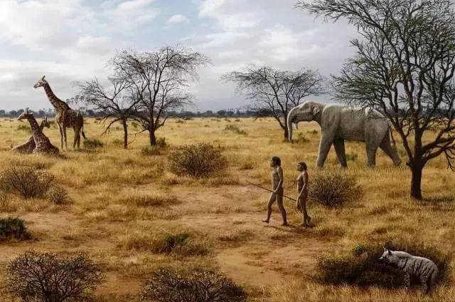 玛雅文明为何突然消失,古埃及人相信死后复生