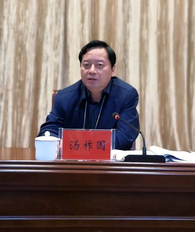 图为市人民政府副市长汤祚国讲话