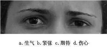 看眼神,猜情绪,测情商,给自己的情商定个级,