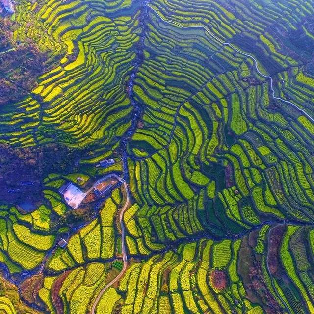 上虞区岭南乡覆卮山千年梯田色彩斑斓,绚丽多姿.阮佳波 摄