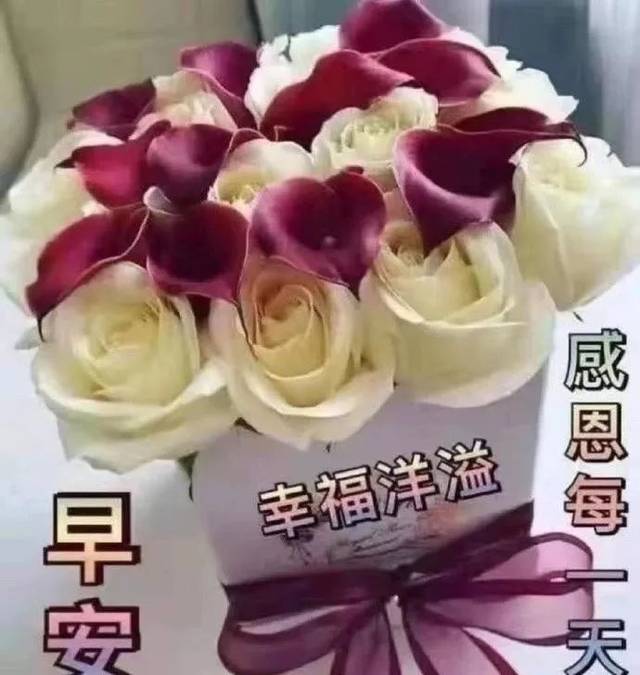 2019早上好新版鲜花祝福图片 早上好祝福表情问候图片