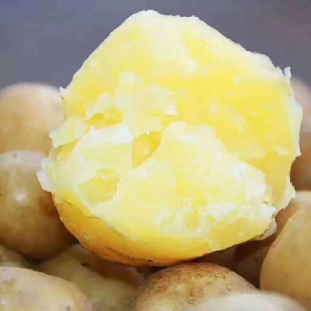 【吃货团】恩施富硒土豆 云南红皮黄心小土豆 大山里的味道 健康营养