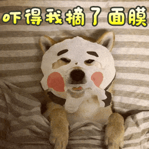 【搞笑表情包小师妹宣】