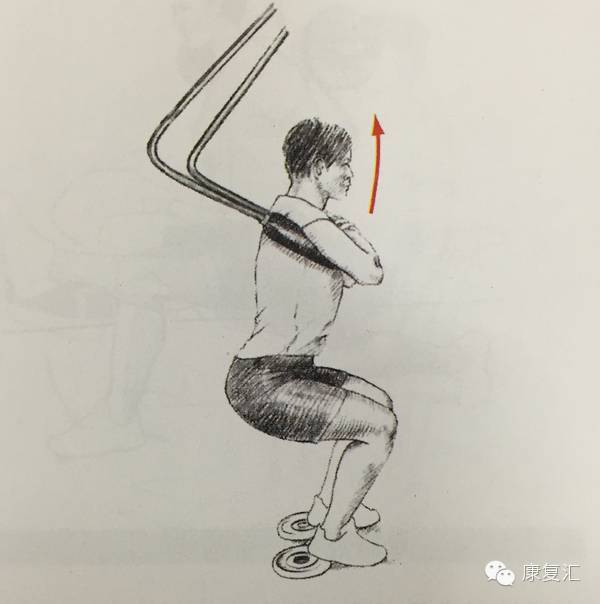 前交叉韧带重建术后康复训练