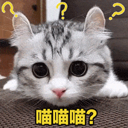 可爱猫咪的表情包|我的悲伤大概有这么大