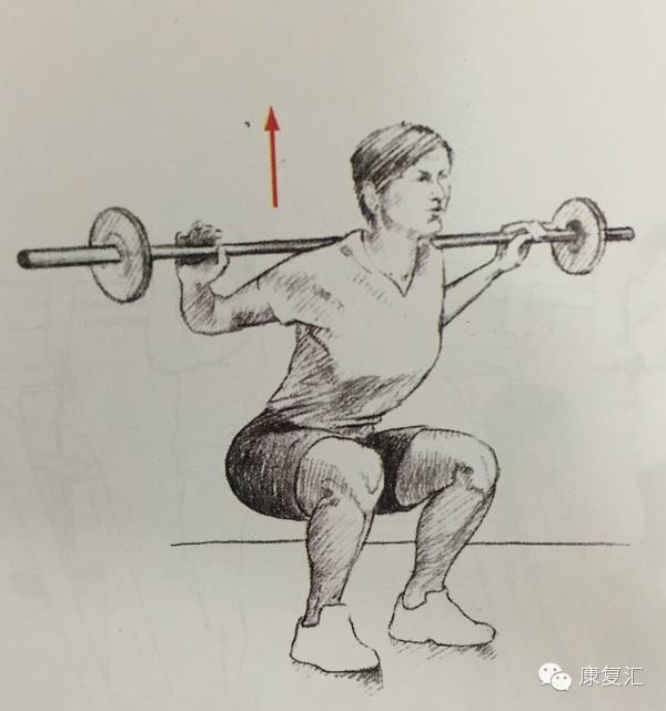 前交叉韧带重建术后康复训练