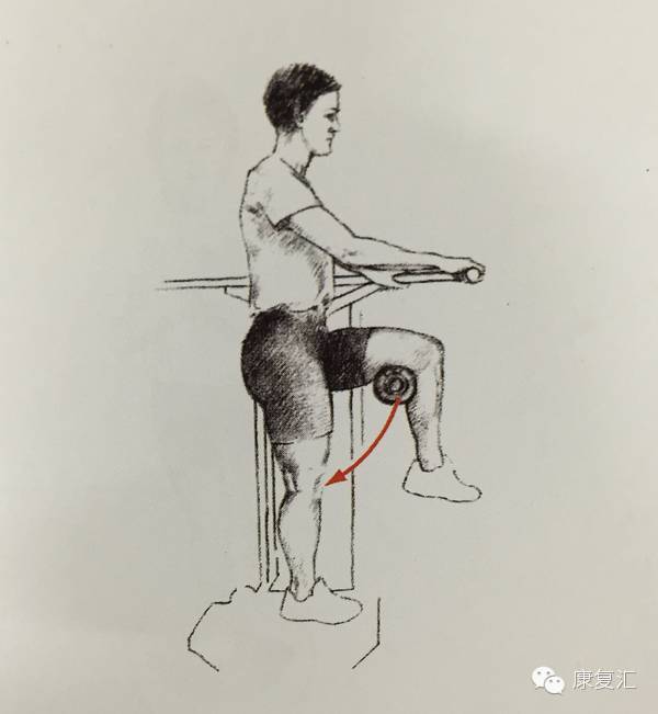 前交叉韧带重建术后康复训练